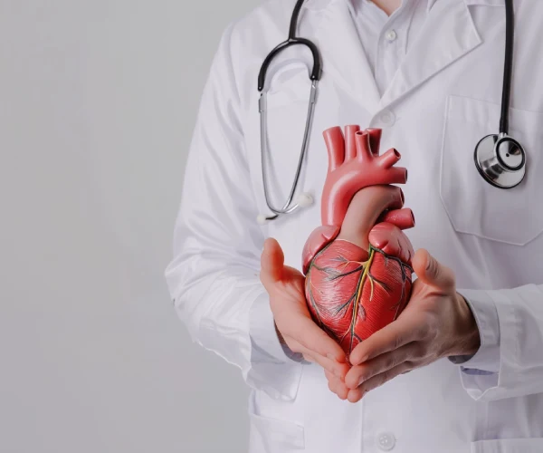 Cardiologo Cerca De Mi